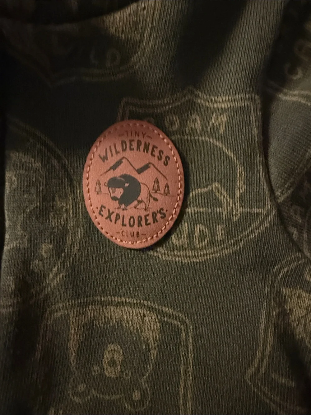 Carters soft hooded